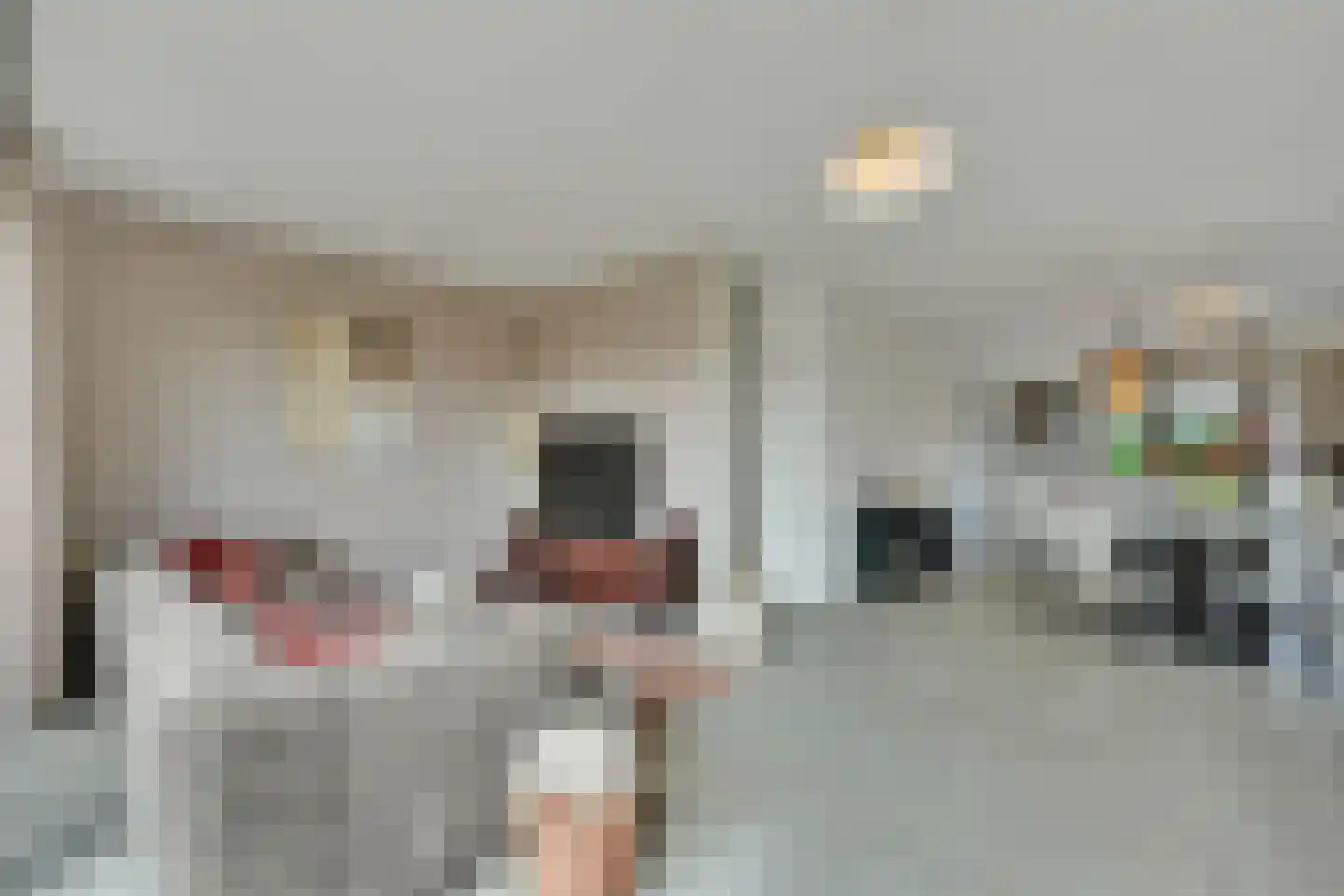 Klein Belgie 3620 Lanaken Vijfhuizen thumbnail 5