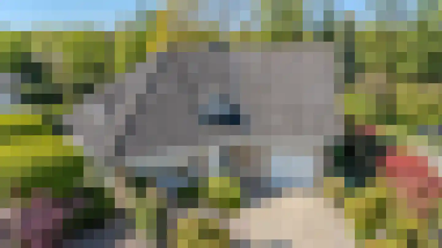 Klein Belgie 3620 Lanaken Vijfhuizen thumbnail 5