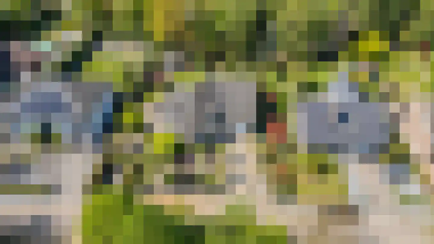 Klein Belgie 3620 Lanaken Vijfhuizen thumbnail 52