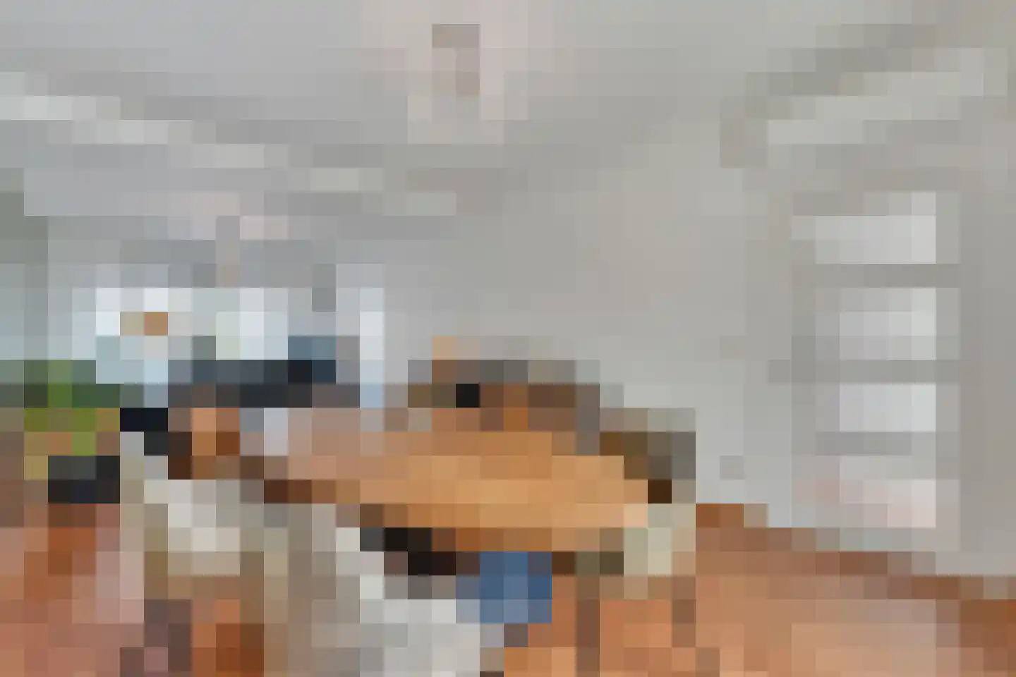 Klein Belgie 3620 Lanaken Vijfhuizen thumbnail 7