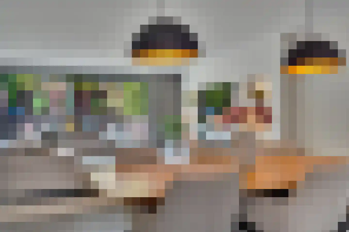 Klein Belgie 3620 Lanaken Vijfhuizen thumbnail 7
