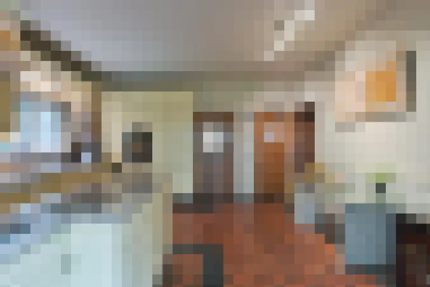 Klein Belgie 3621 Lanaken Vijfhuizen thumbnail 12