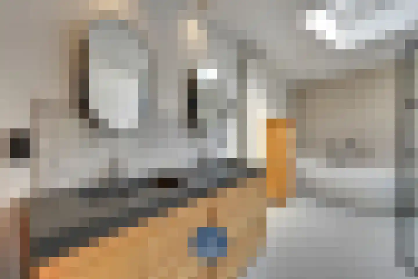 Klein Belgie 3621 Lanaken Vijfhuizen thumbnail 13