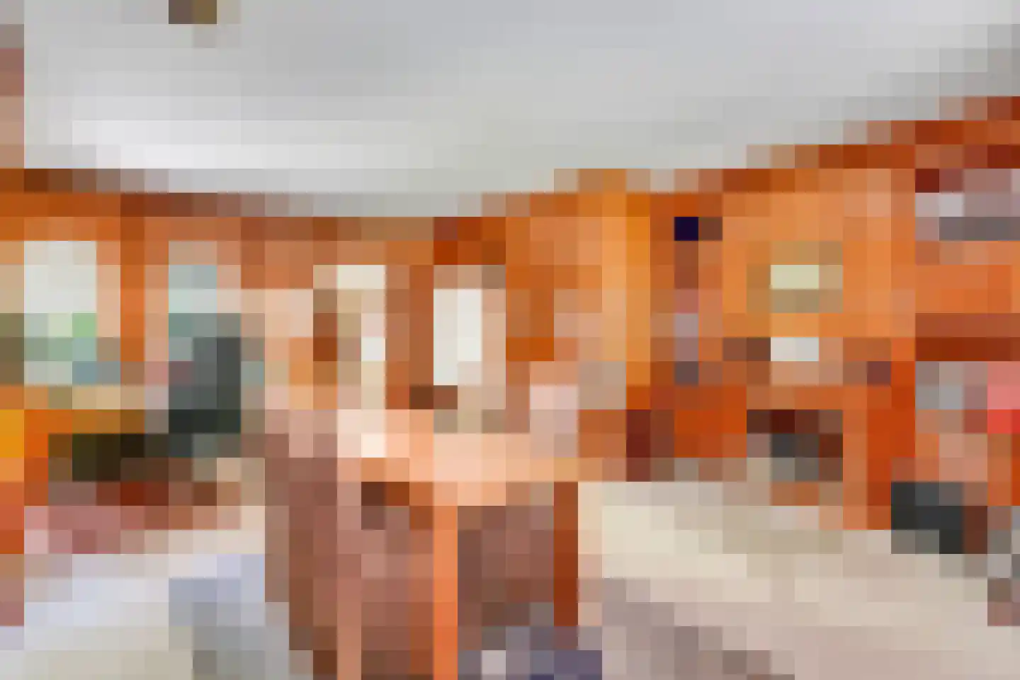 Klein Belgie 3621 Lanaken Vijfhuizen thumbnail 15