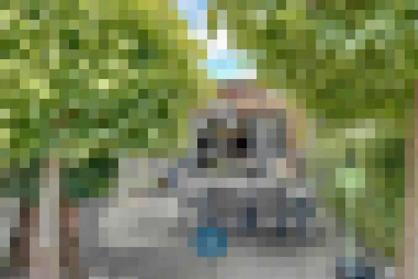 Klein Belgie 3621 Lanaken Vijfhuizen thumbnail 21