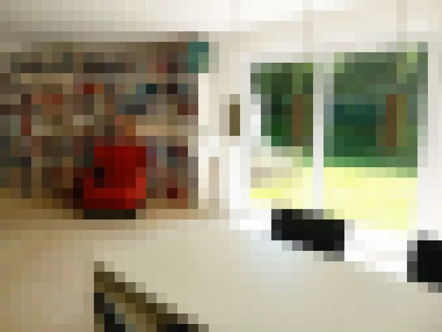 Klein Belgie 3621 Lanaken Vijfhuizen thumbnail 22