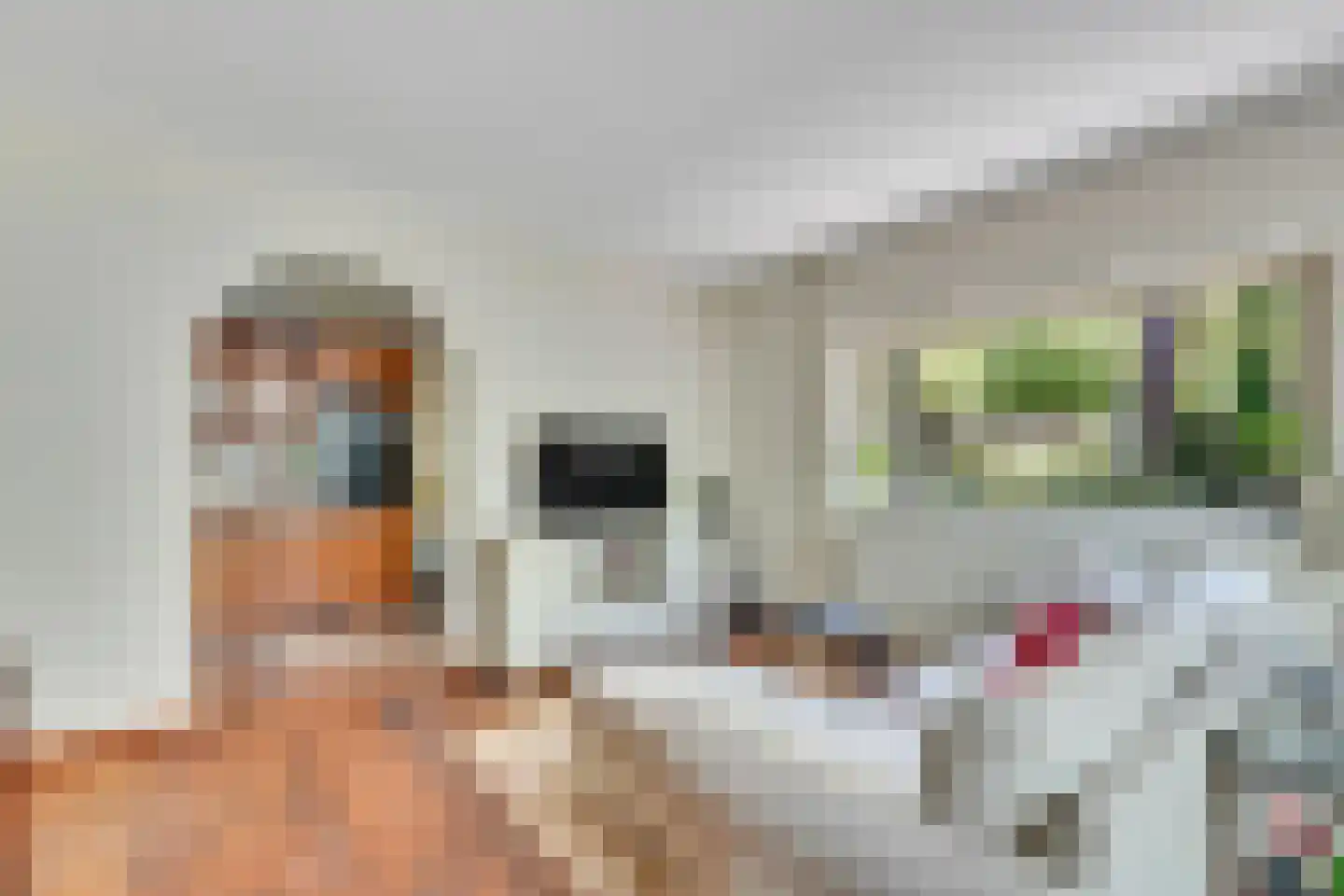 Klein Belgie 3621 Lanaken Vijfhuizen thumbnail 26