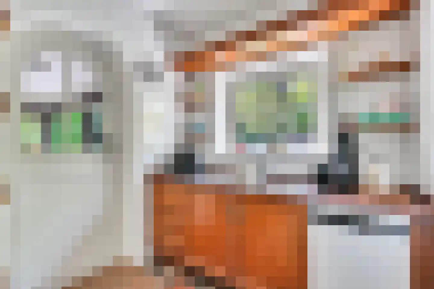 Klein Belgie 3621 Lanaken Vijfhuizen thumbnail 28
