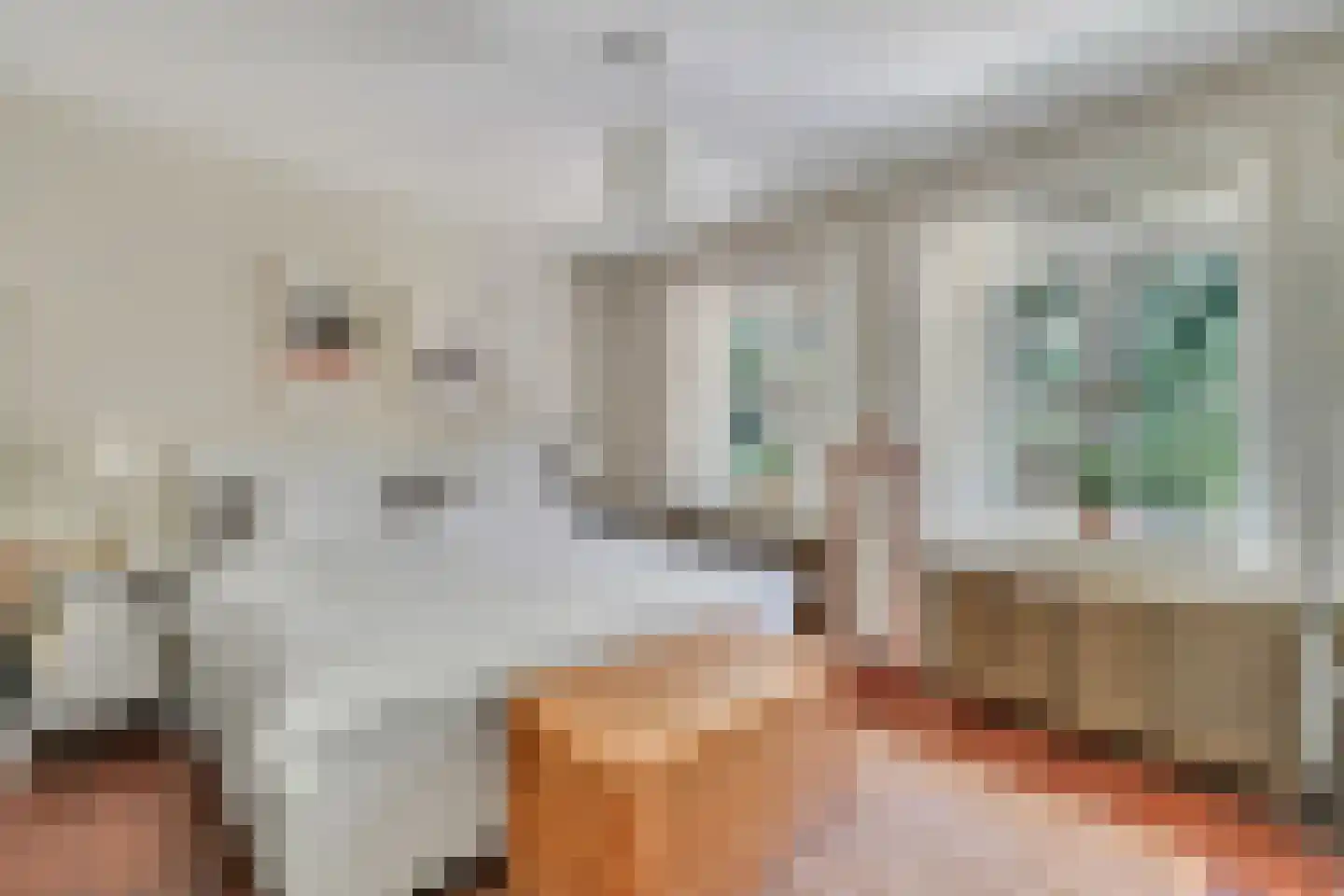 Klein Belgie 3621 Lanaken Vijfhuizen thumbnail 29