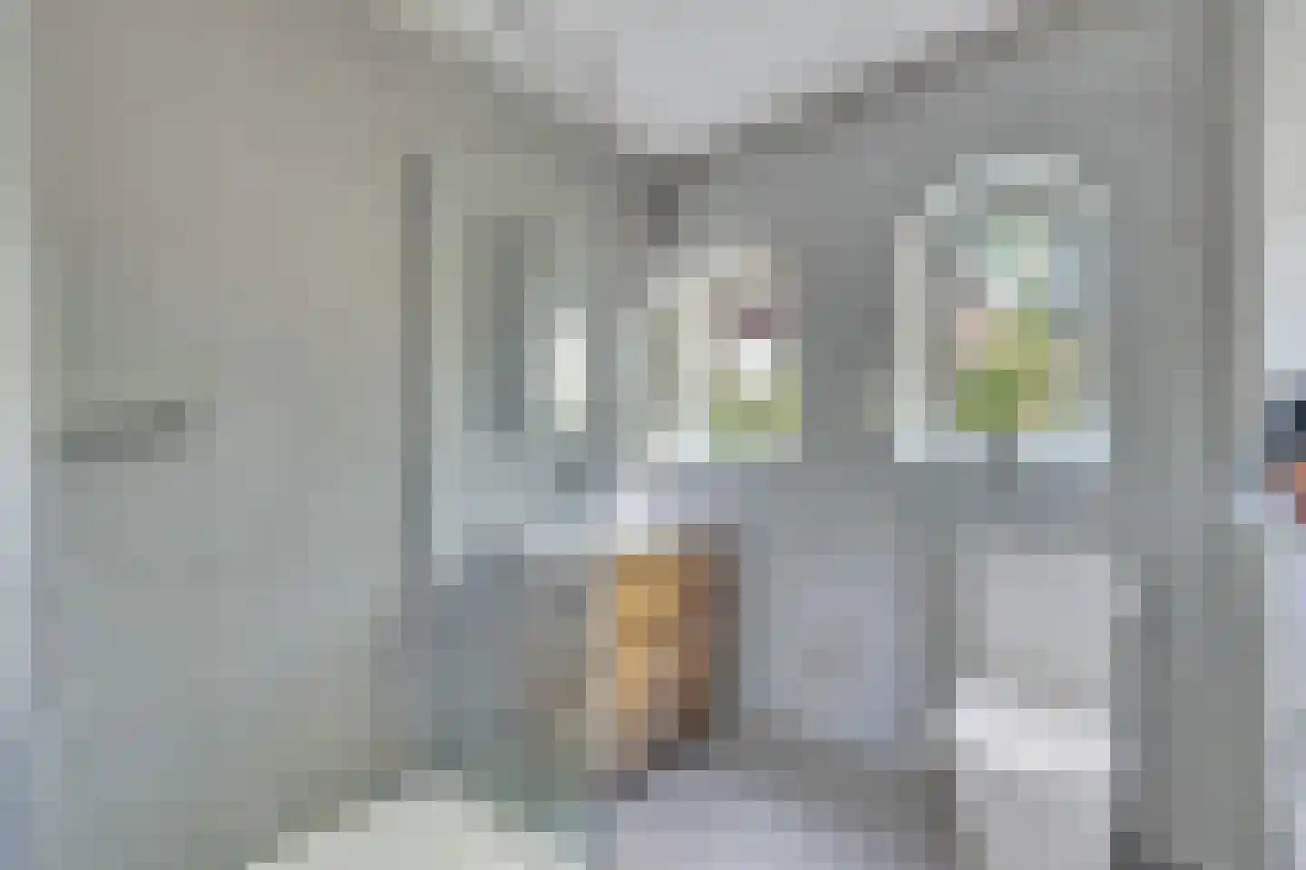 Klein Belgie 3621 Lanaken Vijfhuizen thumbnail 31