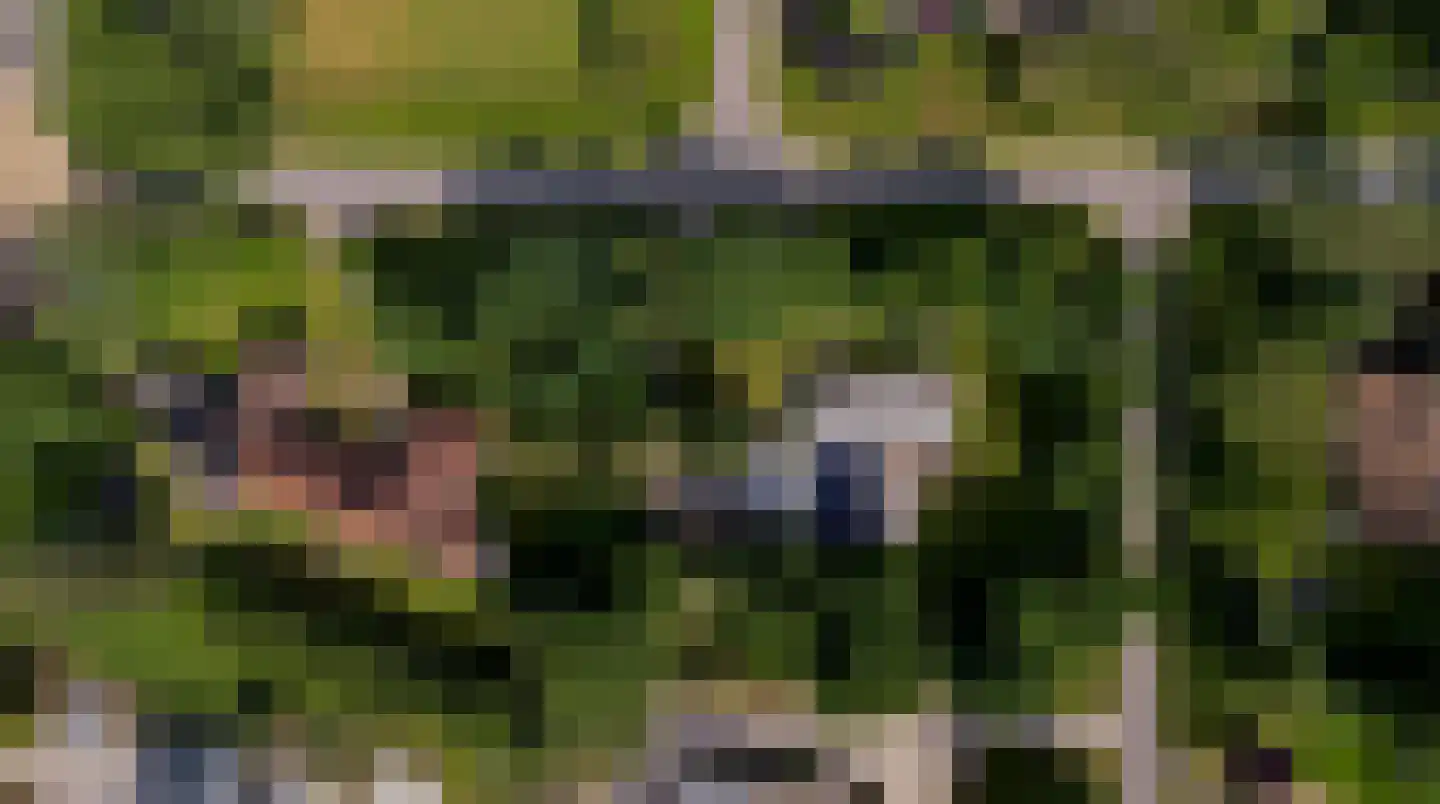 Klein Belgie 3621 Lanaken Vijfhuizen thumbnail 33