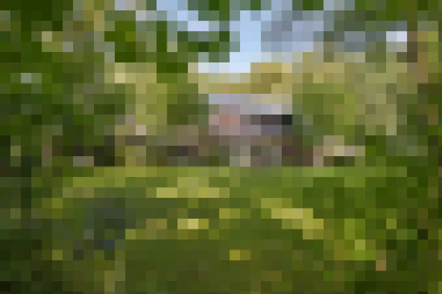 Klein Belgie 3621 Lanaken Vijfhuizen thumbnail 37