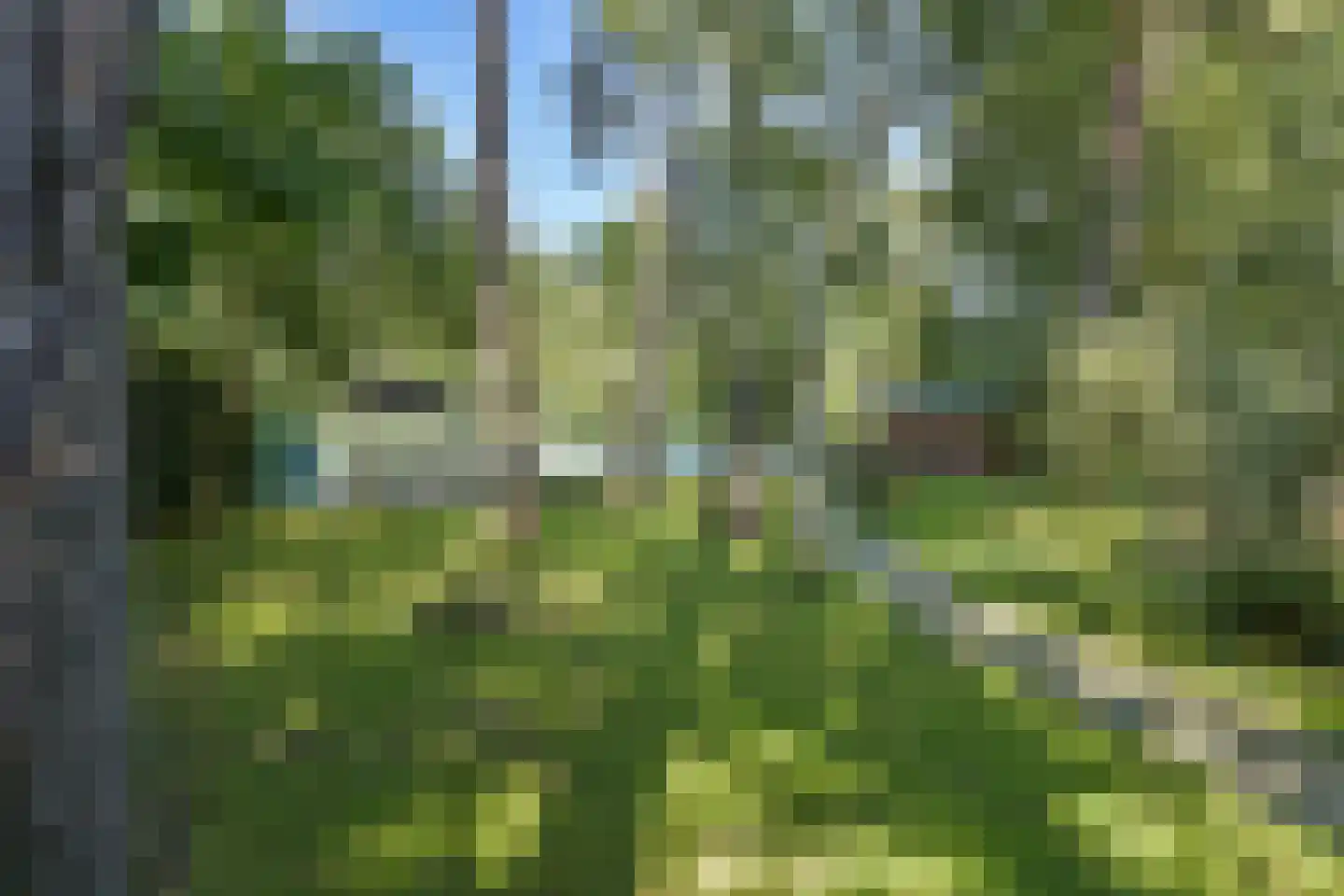 Klein Belgie 3621 Lanaken Vijfhuizen thumbnail 42