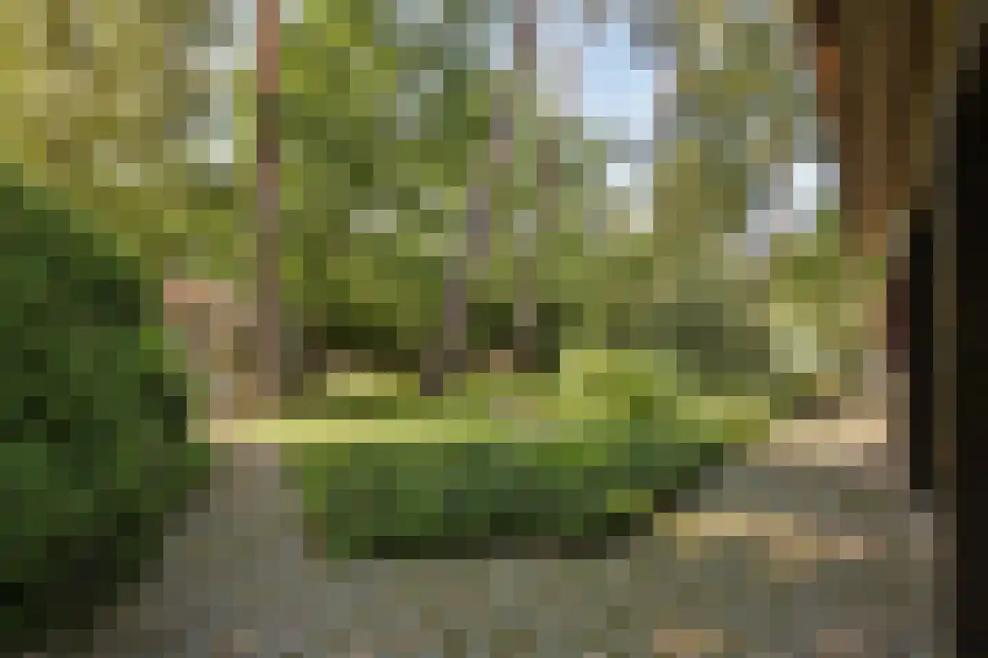Klein Belgie 3621 Lanaken Vijfhuizen thumbnail 43