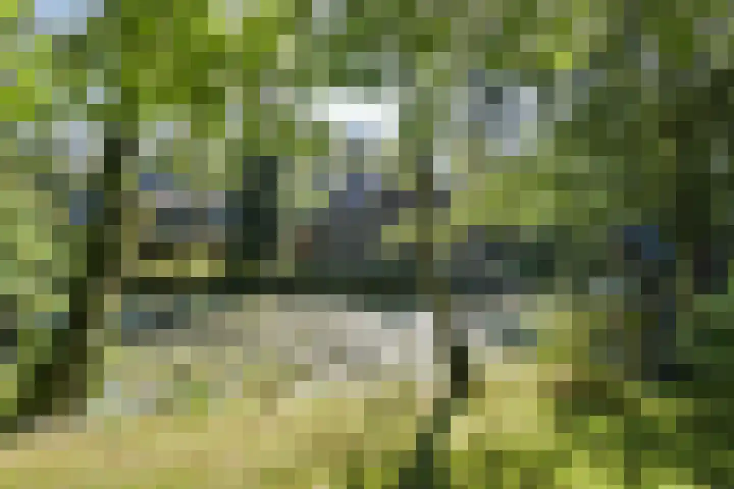 Klein Belgie 3621 Lanaken Vijfhuizen thumbnail 45