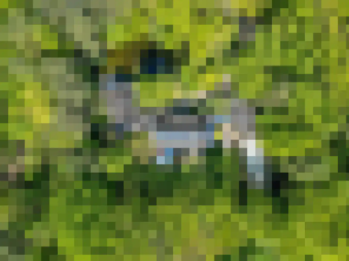 Klein Belgie 3621 Lanaken Vijfhuizen thumbnail 46