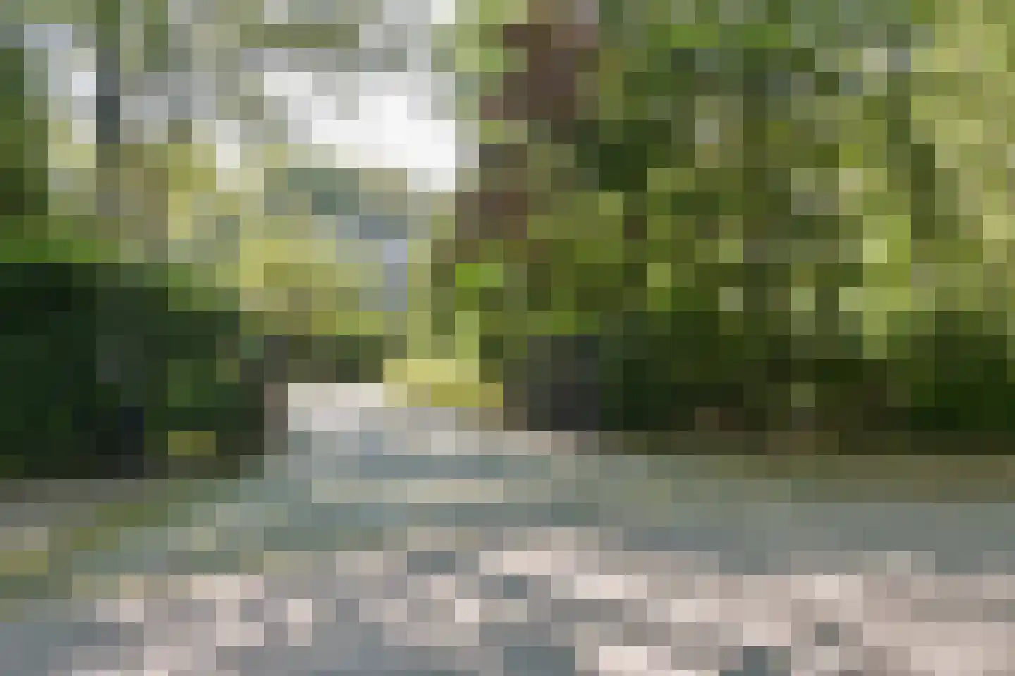 Klein Belgie 3621 Lanaken Vijfhuizen thumbnail 5