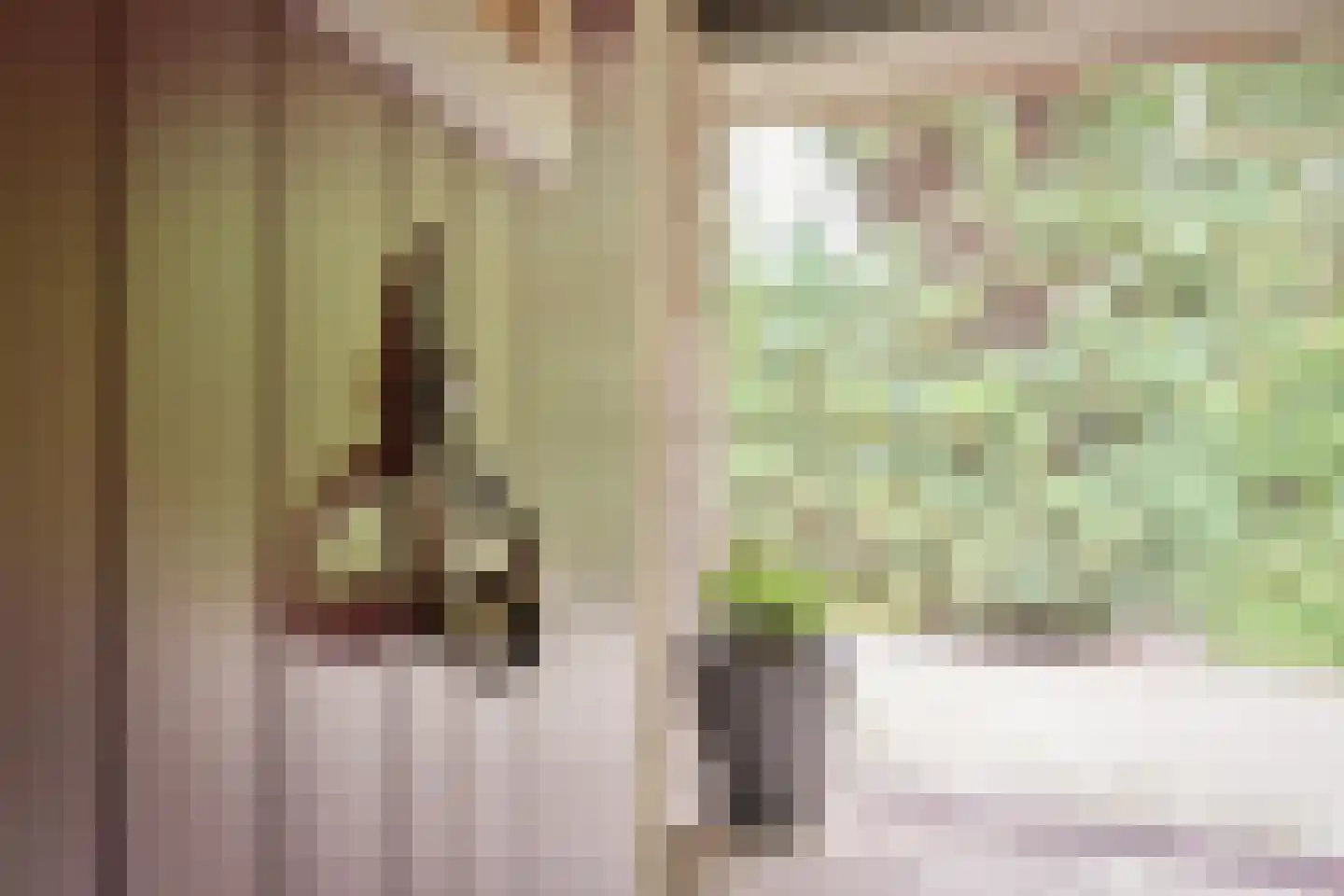 Klein Belgie 3621 Lanaken Vijfhuizen thumbnail 7