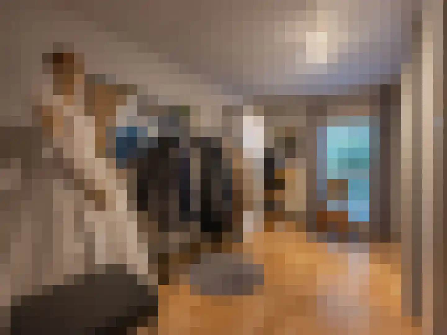 Klein Belgie 3621 Rekem Vijfhuizen thumbnail 12