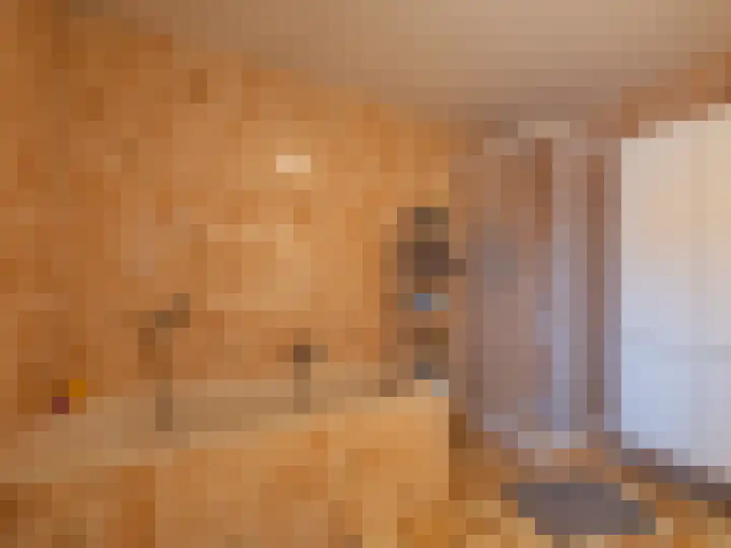 Klein Belgie 3621 Rekem Vijfhuizen thumbnail 14