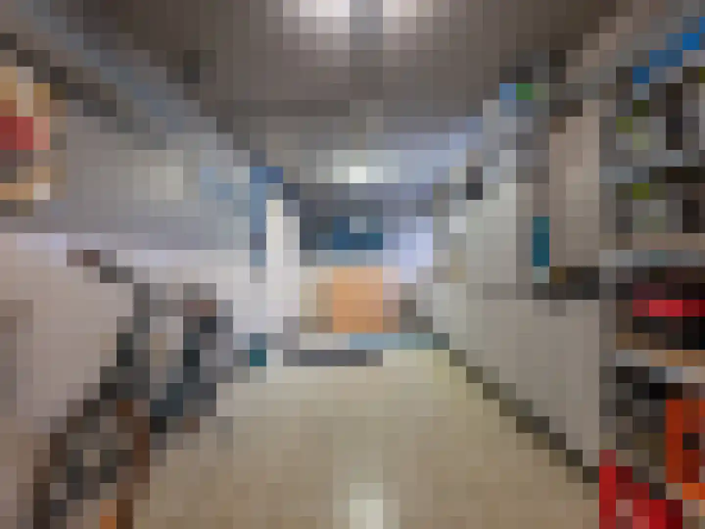 Klein Belgie 3621 Rekem Vijfhuizen thumbnail 15