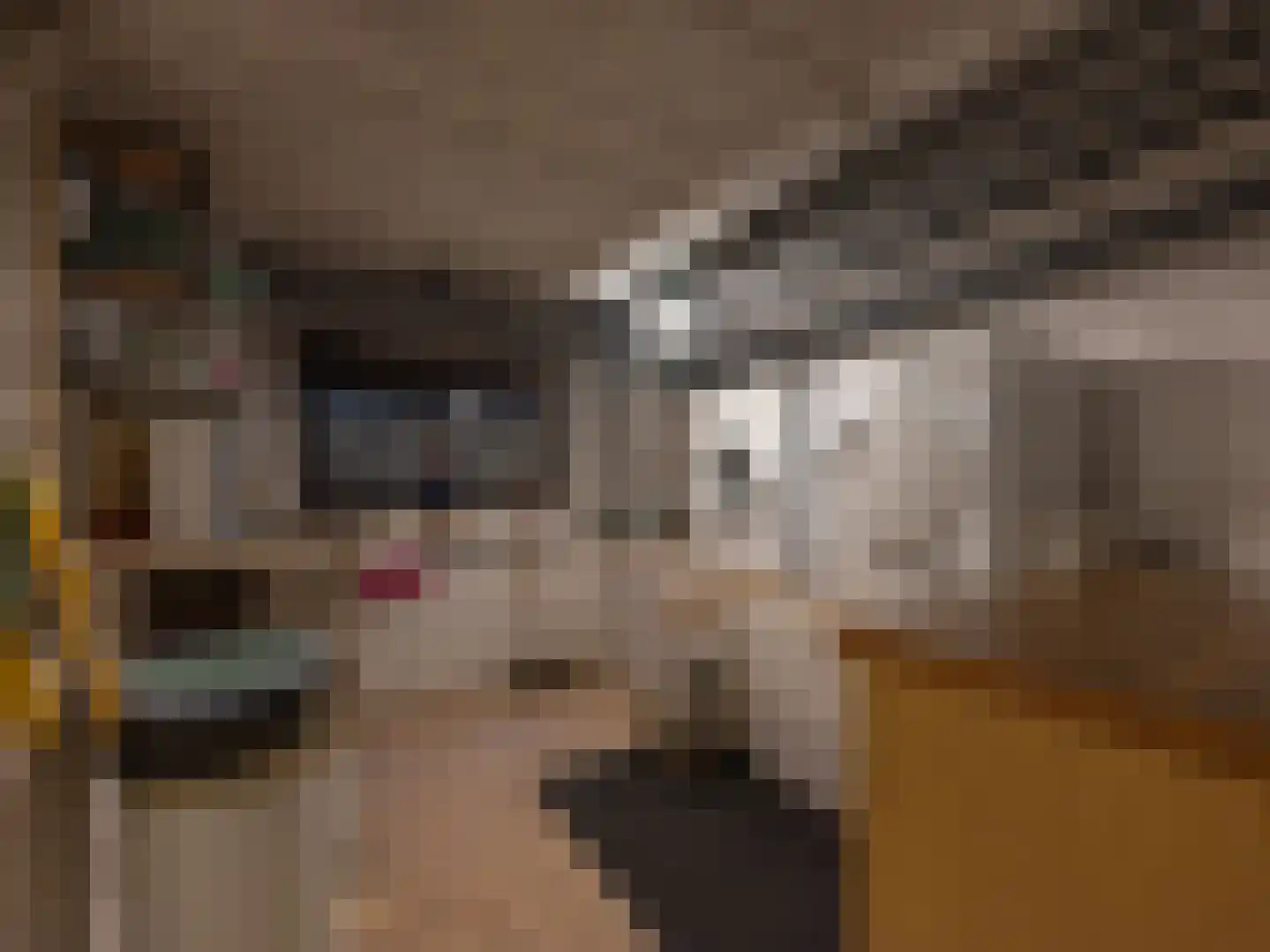 Klein Belgie 3621 Rekem Vijfhuizen thumbnail 16
