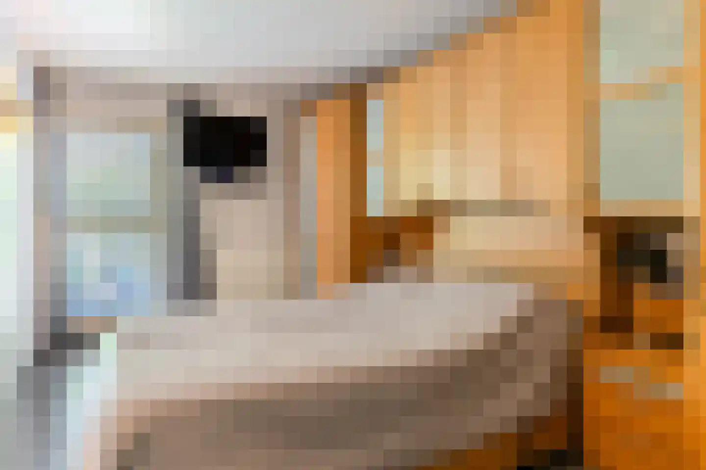 Klein Belgie 3621 Rekem Vijfhuizen thumbnail 17