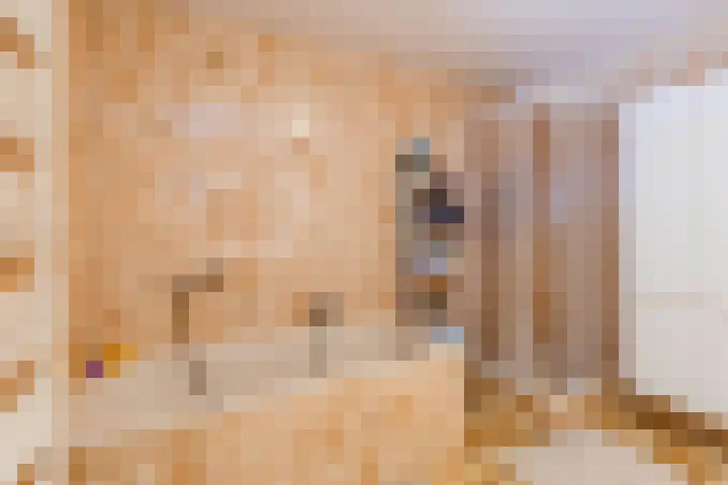 Klein Belgie 3621 Rekem Vijfhuizen thumbnail 22