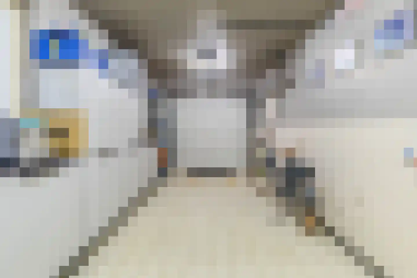 Klein Belgie 3621 Rekem Vijfhuizen thumbnail 24