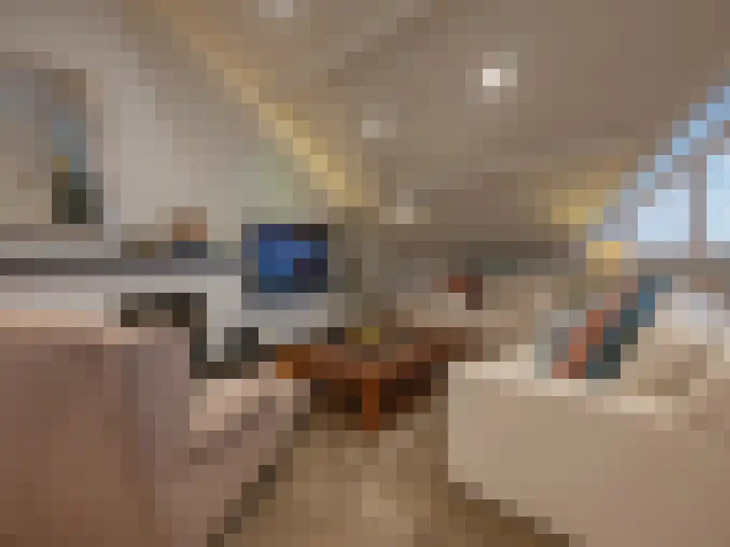 Klein Belgie 3621 Rekem Vijfhuizen thumbnail 6