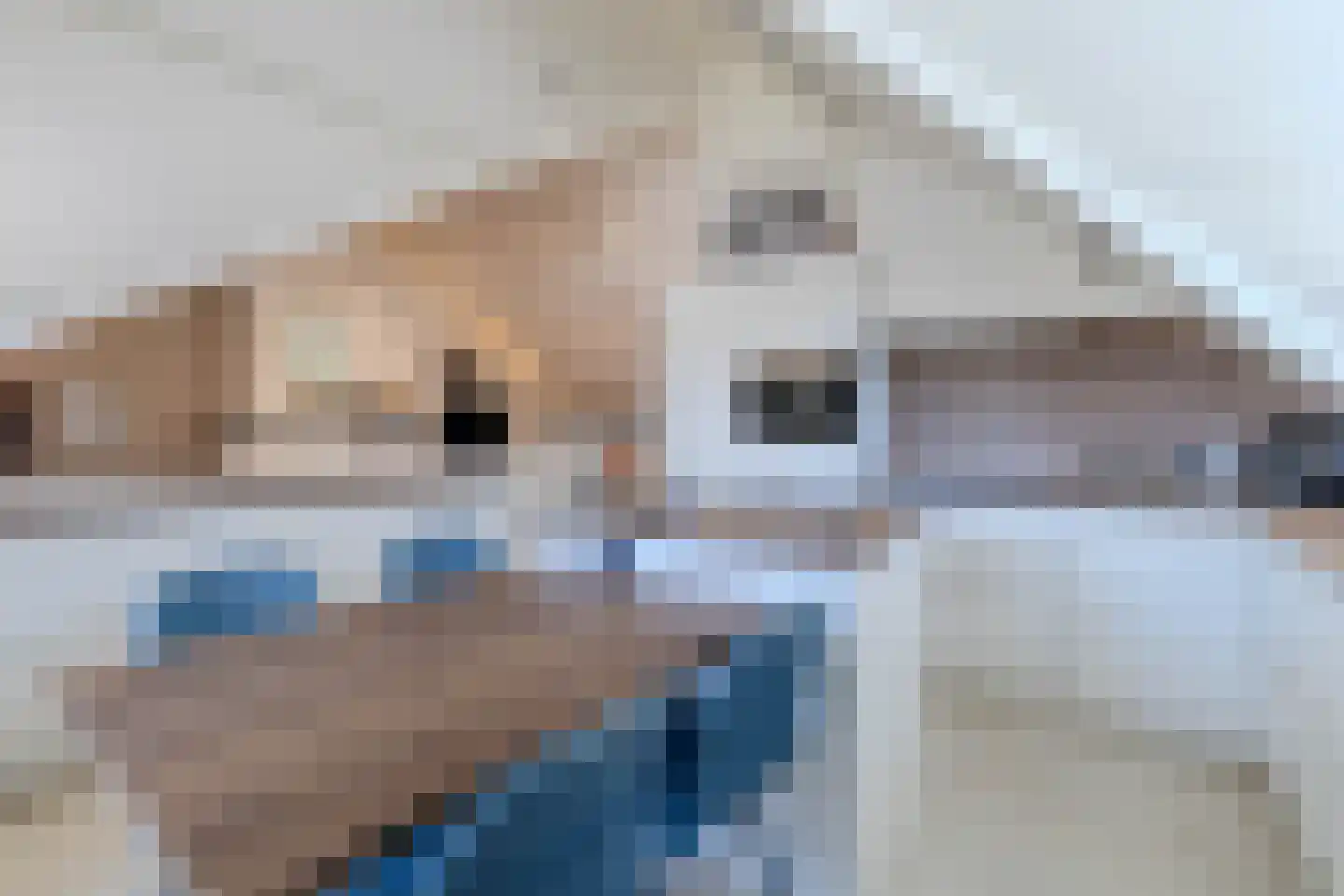 Klein Belgie 3621 Rekem Vijfhuizen thumbnail 9