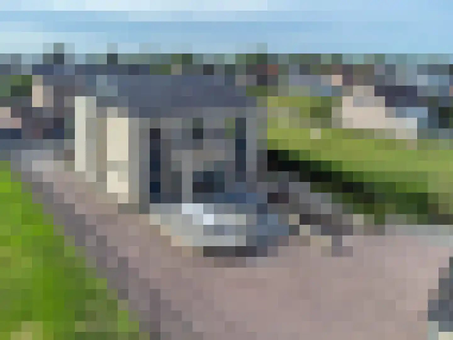 Klein Belgie 3631 Maasmechelen Vijfhuizen thumbnail 31
