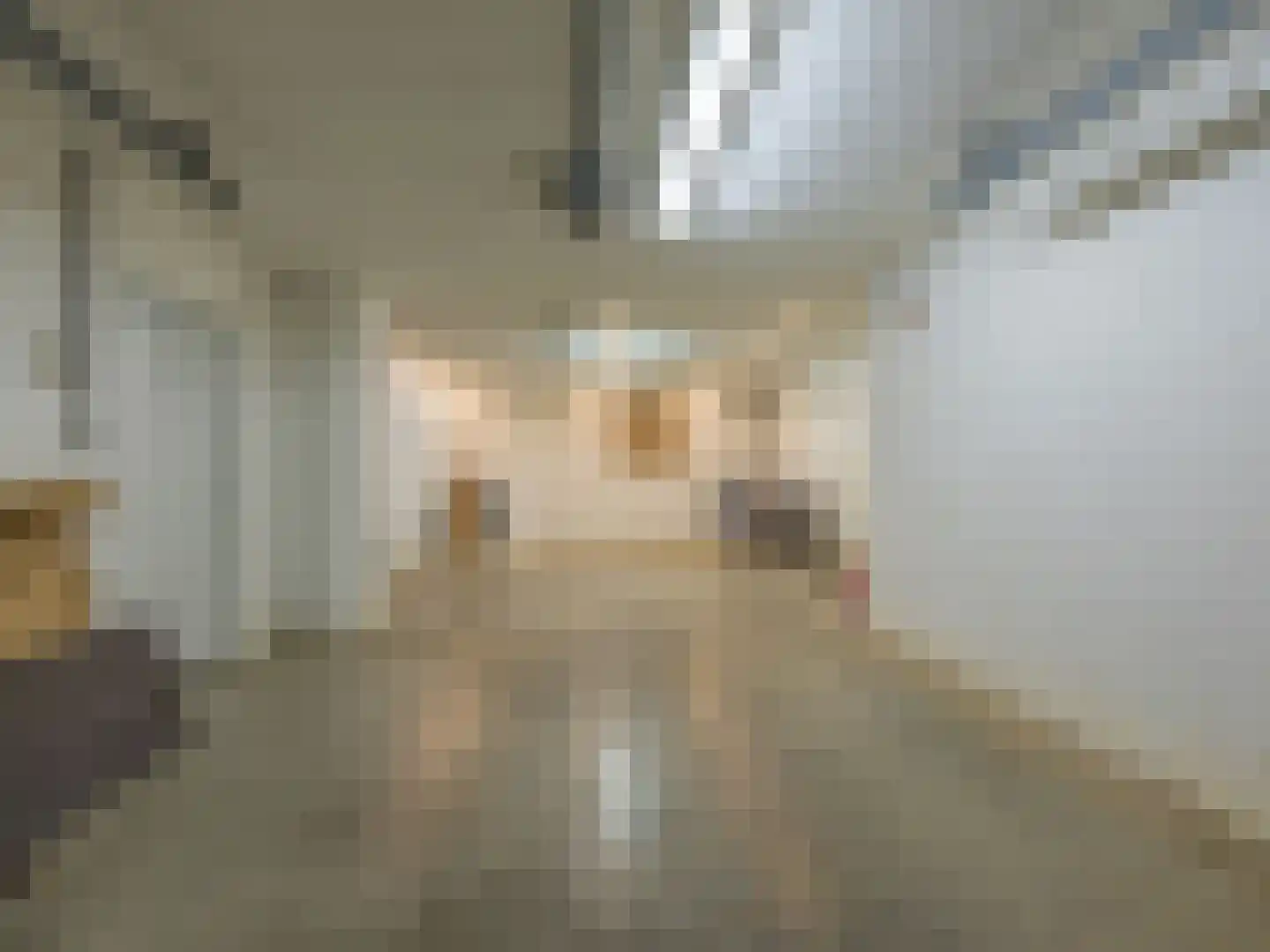 Klein Belgie 3631 Maasmechelen Vijfhuizen thumbnail 34