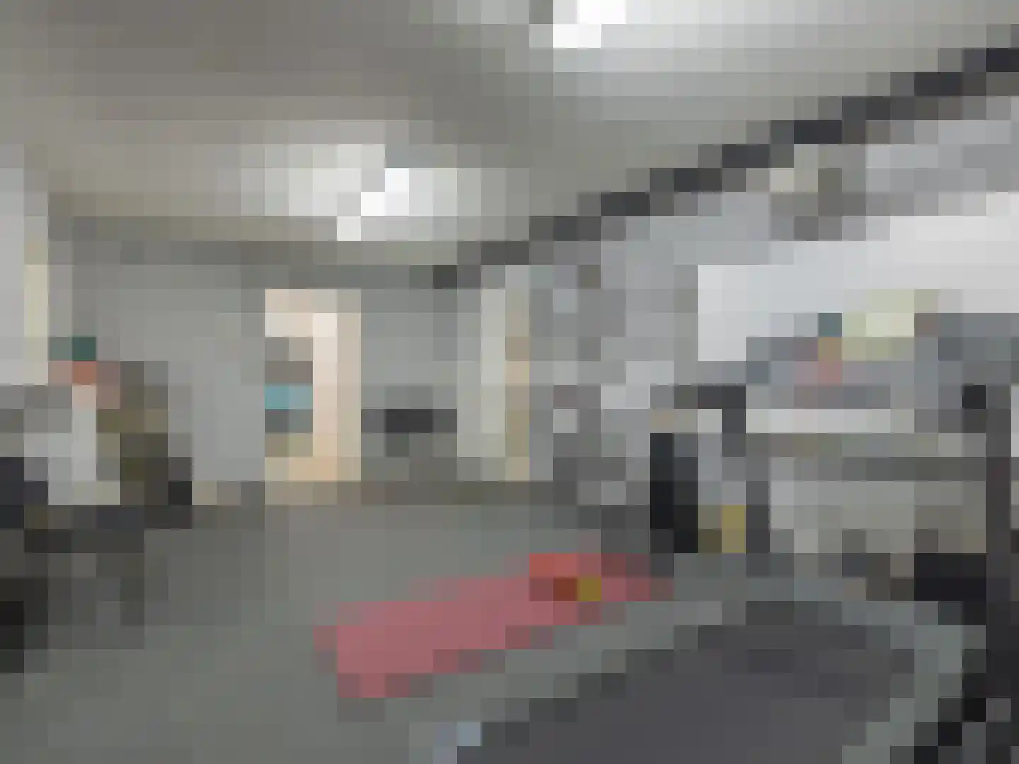 Klein Belgie 3631 Maasmechelen Vijfhuizen thumbnail 36
