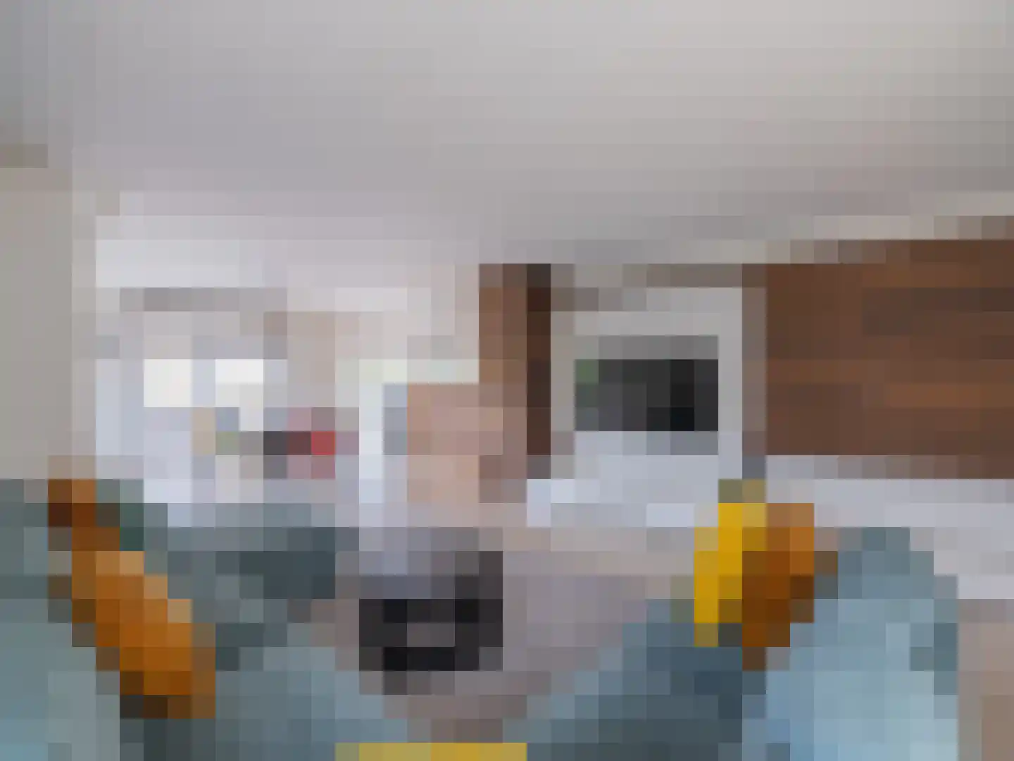 Klein Belgie 3631 Maasmechelen Vijfhuizen thumbnail 4