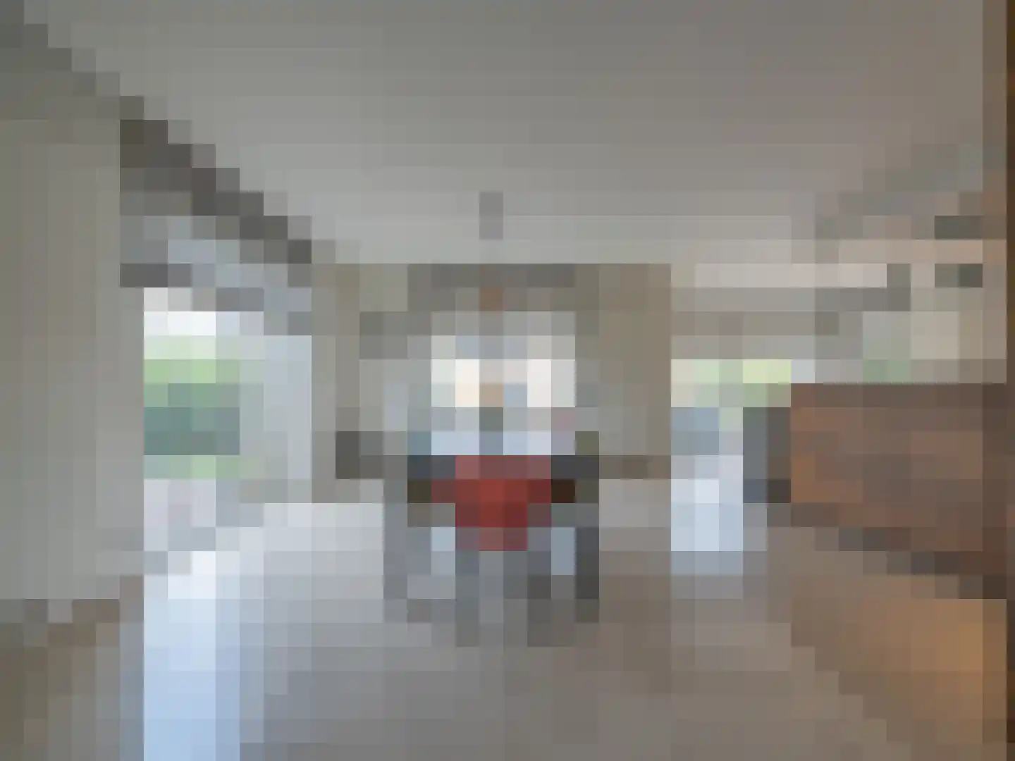 Klein Belgie 3631 Maasmechelen Vijfhuizen thumbnail 5
