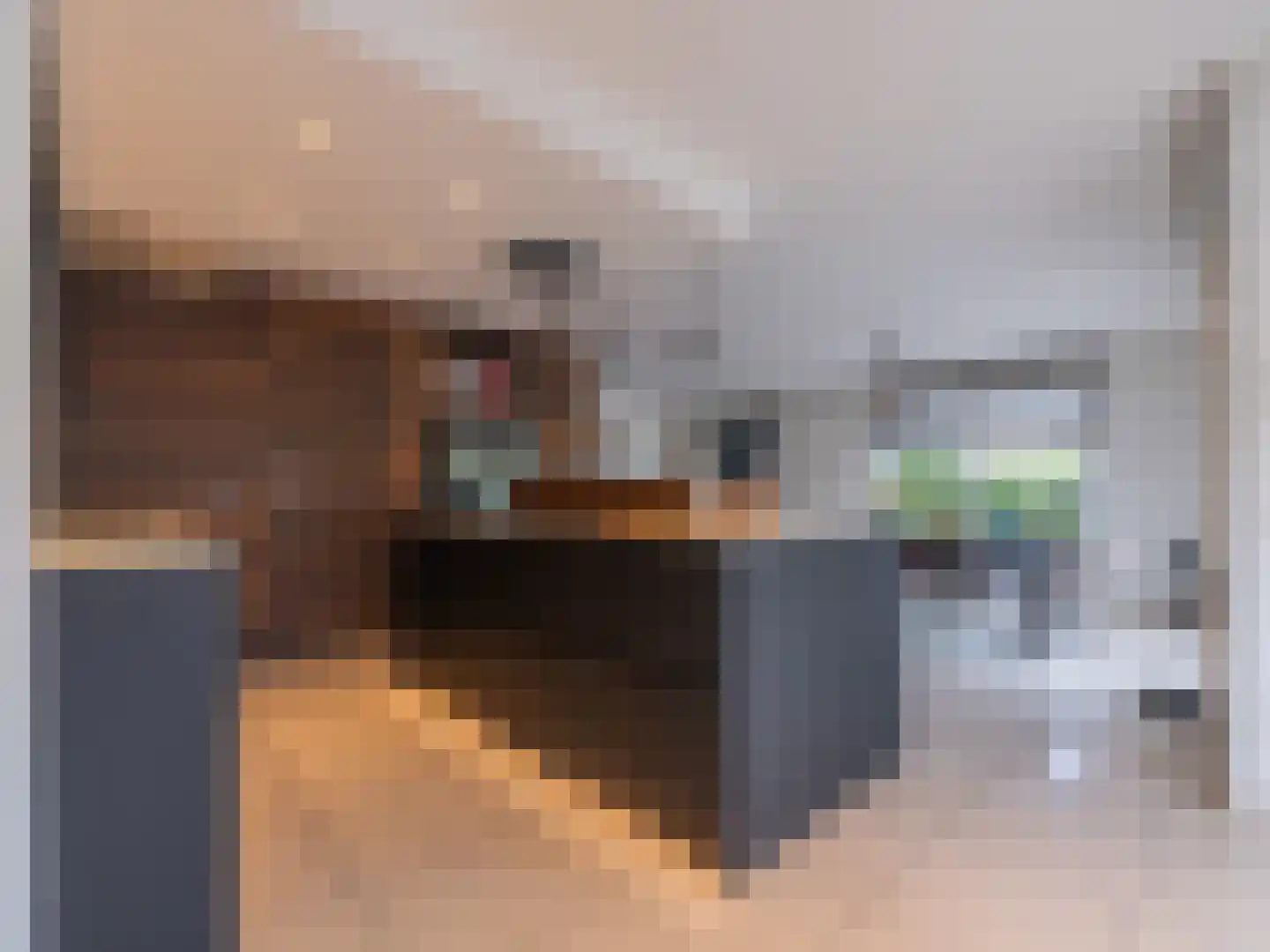Klein Belgie 3631 Maasmechelen Vijfhuizen thumbnail 9