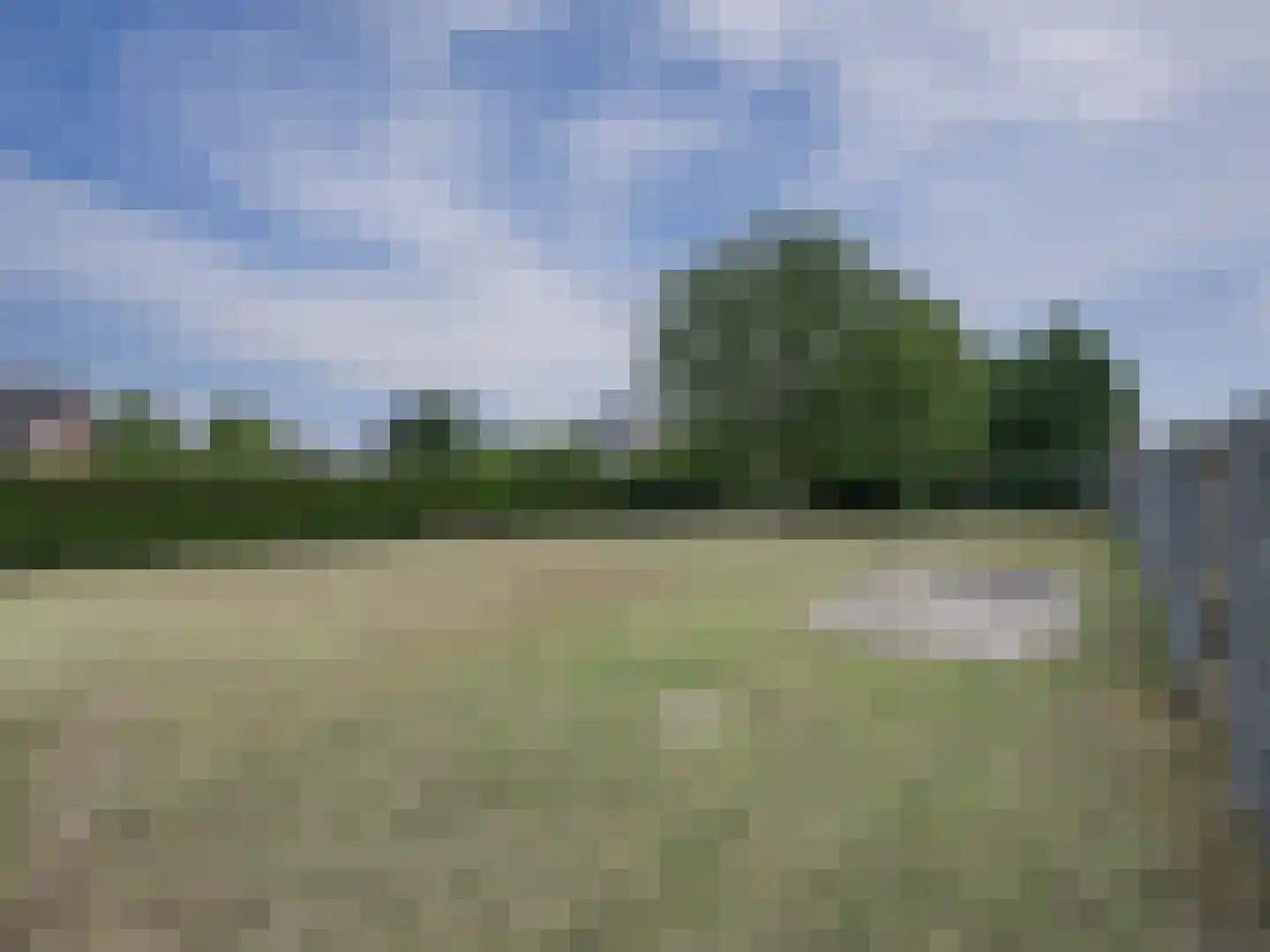 Klein Belgie 3640 Kinrooi Vijfhuizen thumbnail 39