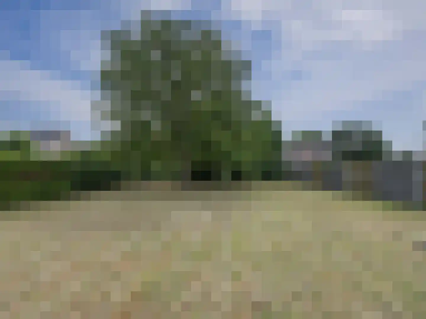 Klein Belgie 3640 Kinrooi Vijfhuizen thumbnail 40