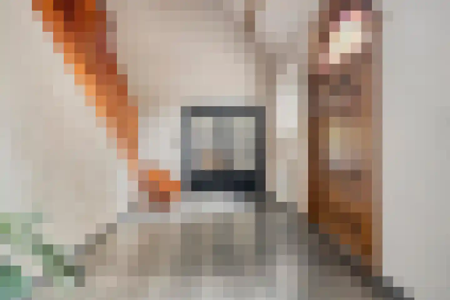 Klein Belgie 3650 Dilsen-Stokkem Vijfhuizen thumbnail 11