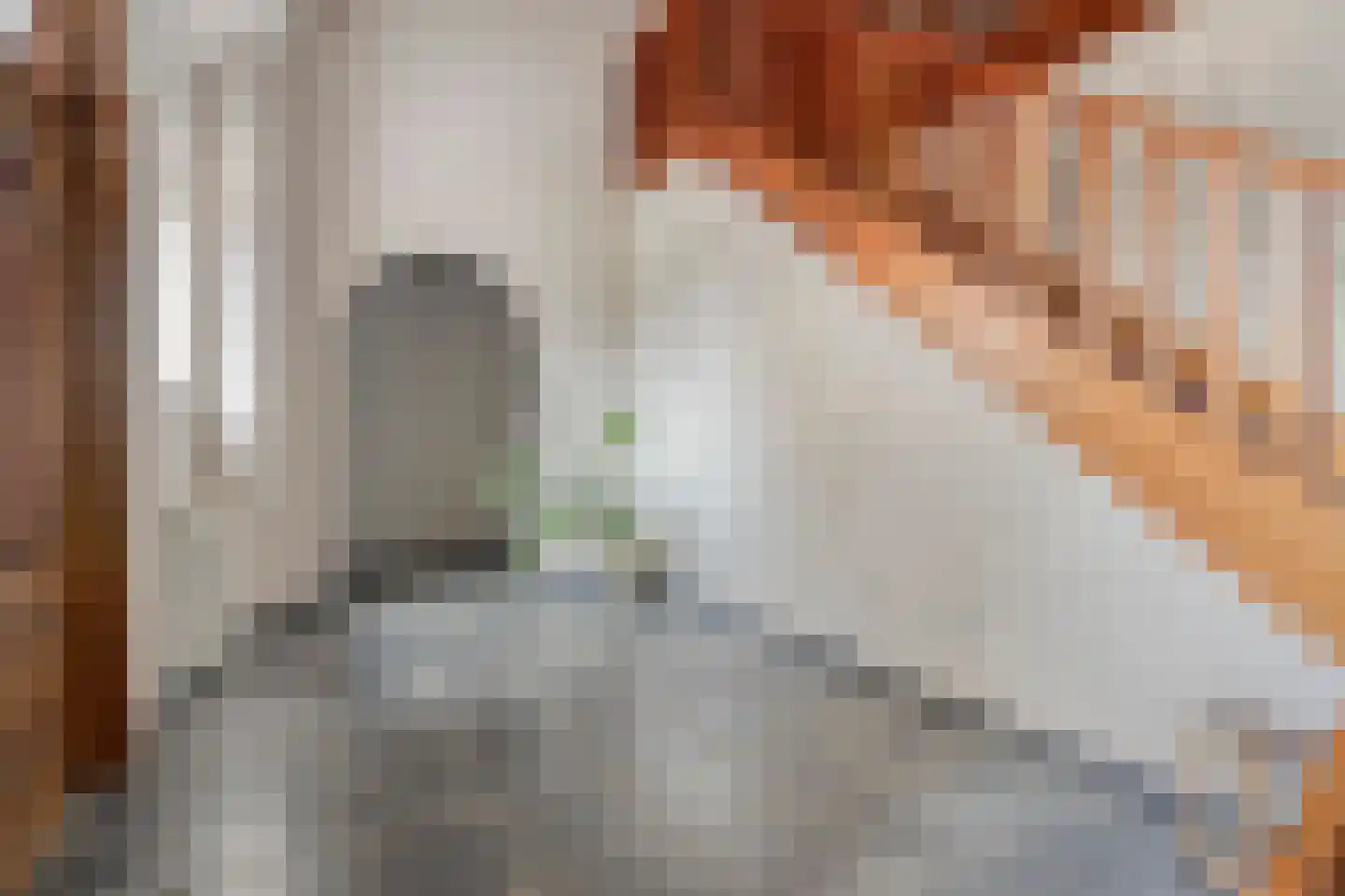 Klein Belgie 3650 Dilsen-Stokkem Vijfhuizen thumbnail 12