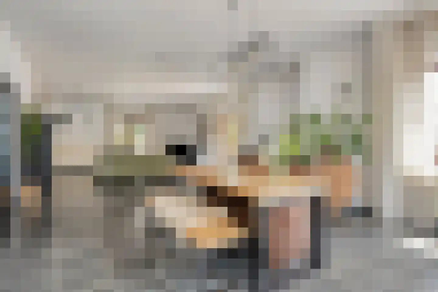 Klein Belgie 3650 Dilsen-Stokkem Vijfhuizen thumbnail 14