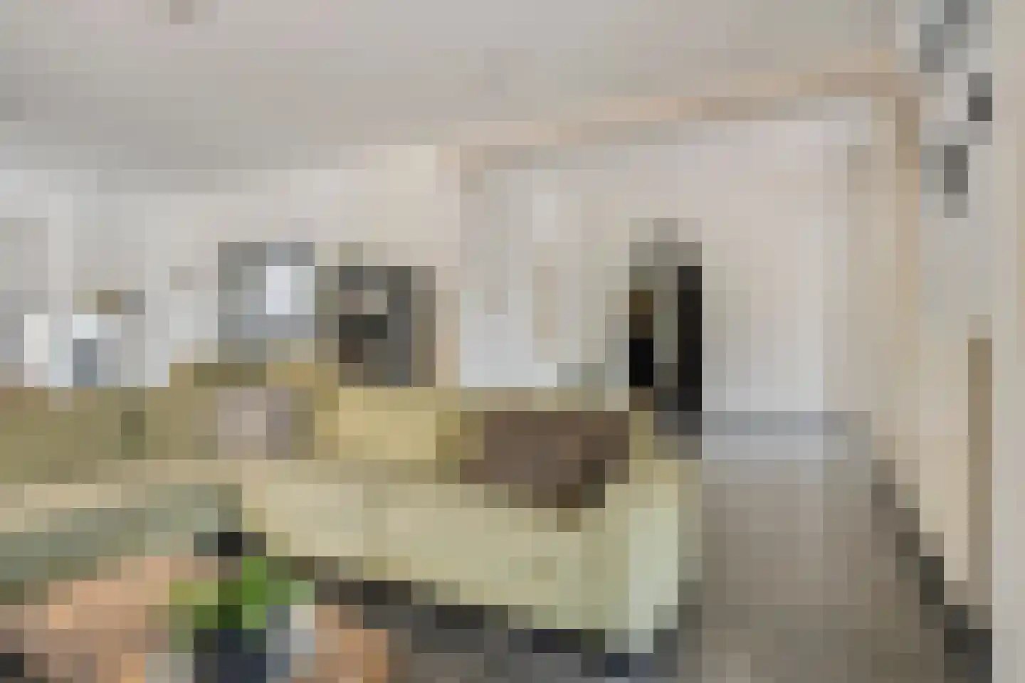 Klein Belgie 3650 Dilsen-Stokkem Vijfhuizen thumbnail 16