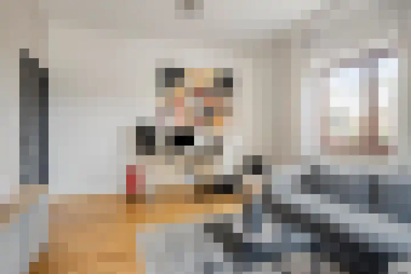 Klein Belgie 3650 Dilsen-Stokkem Vijfhuizen thumbnail 21