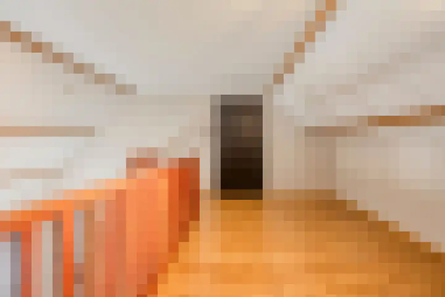Klein Belgie 3650 Dilsen-Stokkem Vijfhuizen thumbnail 26
