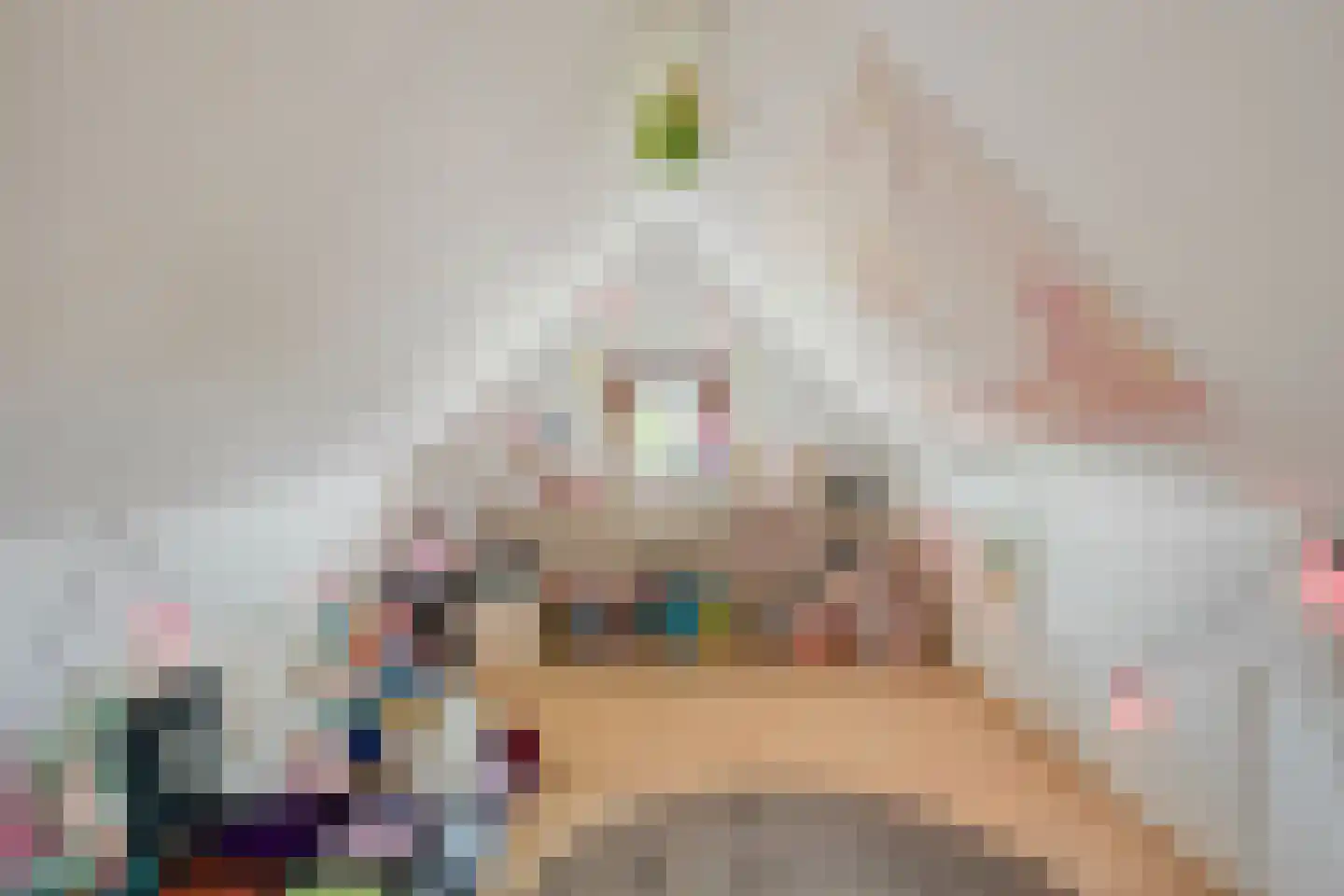 Klein Belgie 3650 Dilsen-Stokkem Vijfhuizen thumbnail 29
