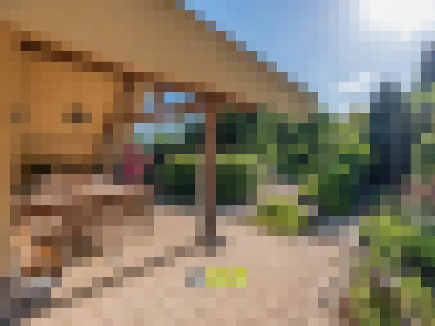 Klein Belgie 3650 Dilsen-Stokkem Vijfhuizen thumbnail 37