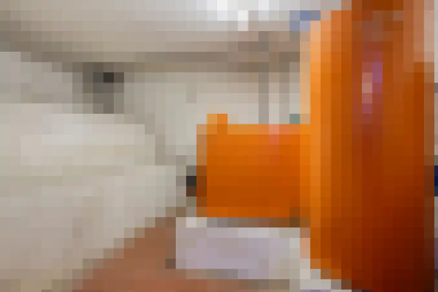 Klein Belgie 3650 Dilsen-Stokkem Vijfhuizen thumbnail 39