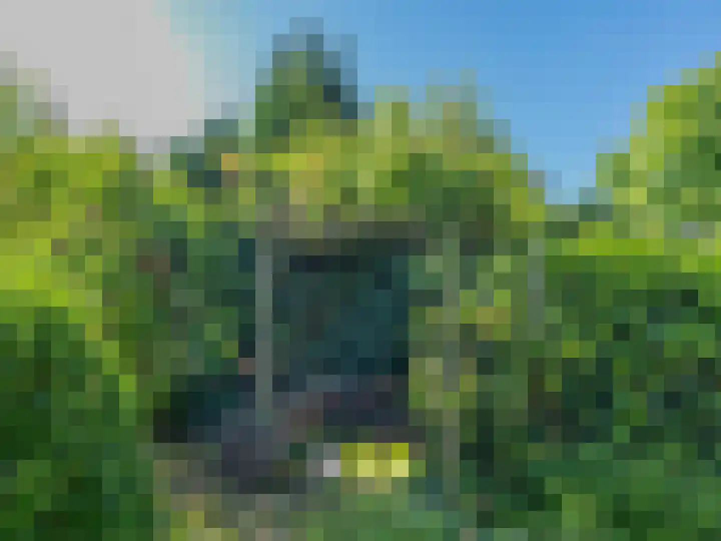 Klein Belgie 3650 Dilsen-Stokkem Vijfhuizen thumbnail 48
