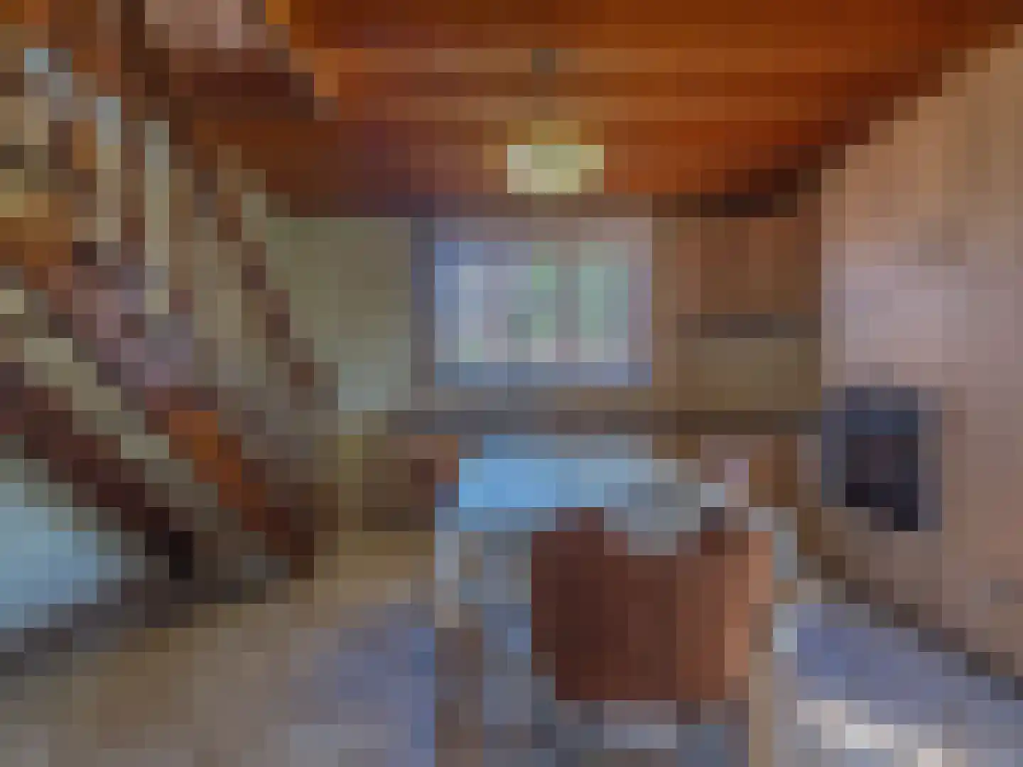 Klein Belgie 3650 Dilsen-Stokkem Vijfhuizen thumbnail 5